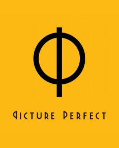 PICTURE PERFECT